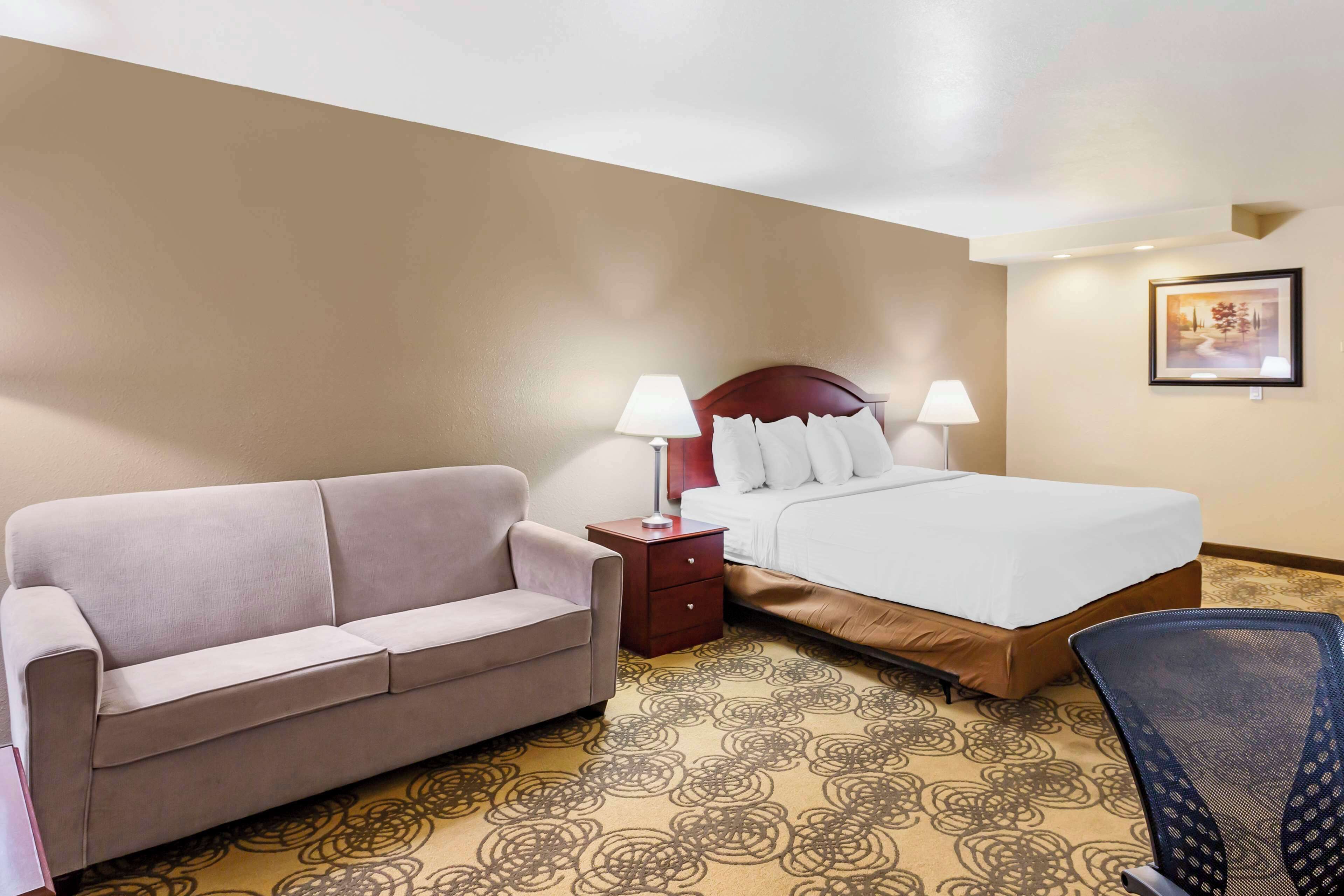 A hotel room with a bed, a sofa, a nightstand, and a chair.