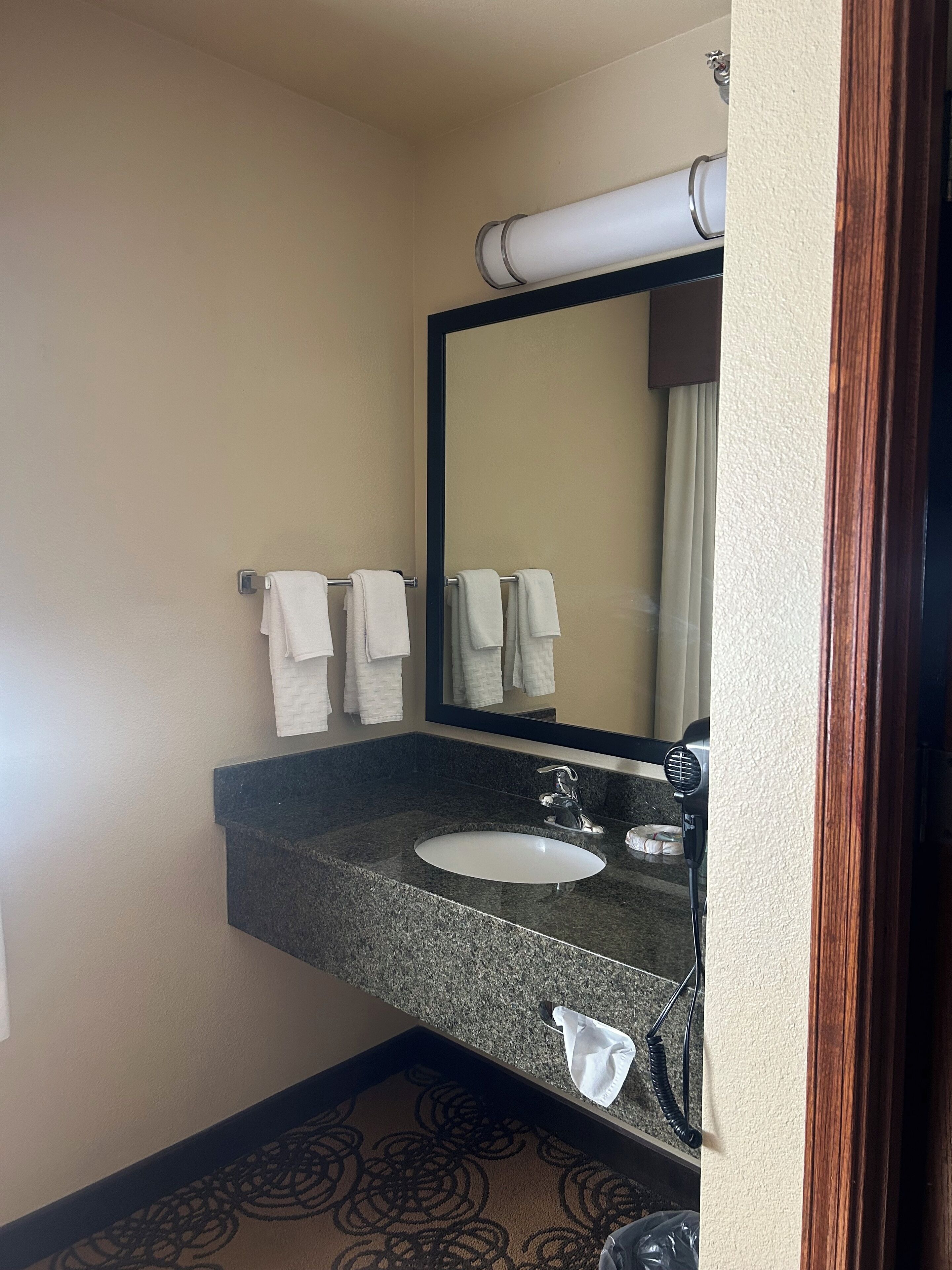 combined shower/bathtub, free toiletries, hair dryer, towels