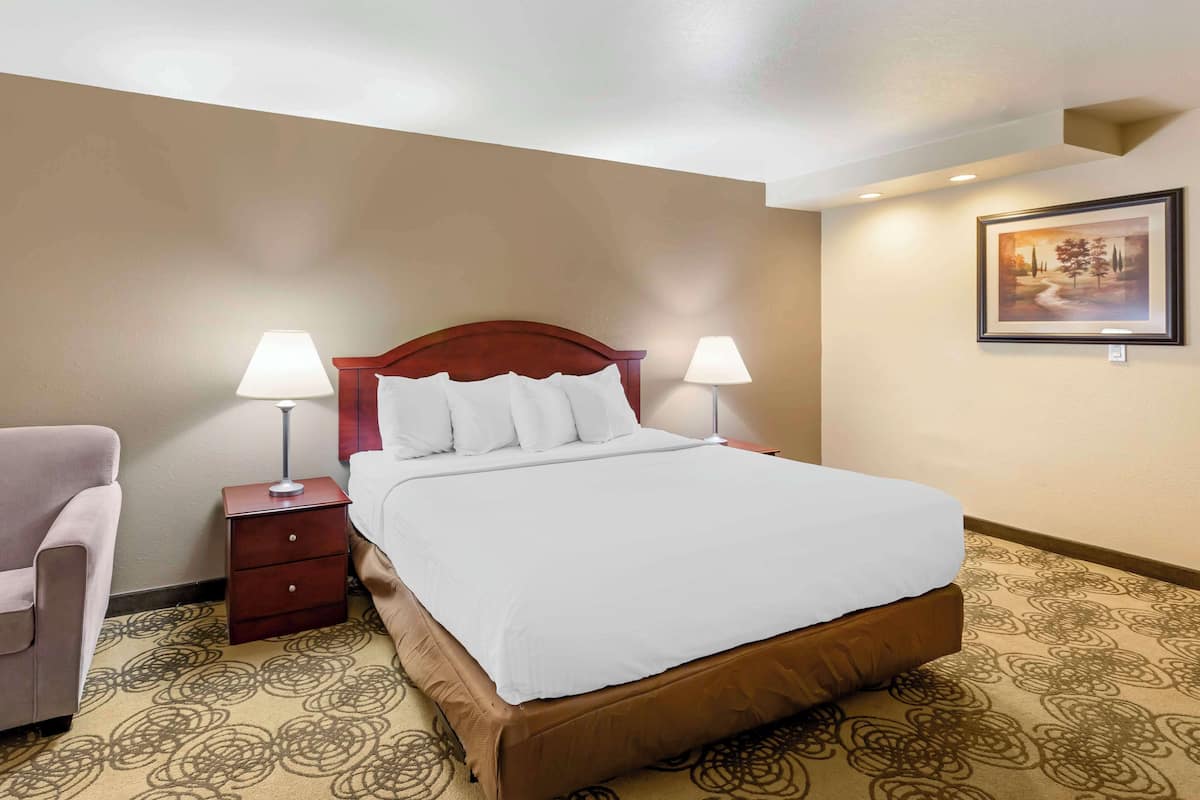 Quarto de hotel com uma cama grande, duas luminárias de cabeceira, uma mesinha de cabeceira, uma cadeira e um quadro na parede.