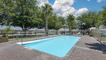 Outdoor pool, pool loungers