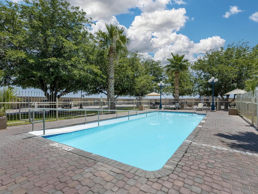Outdoor pool, sun loungers