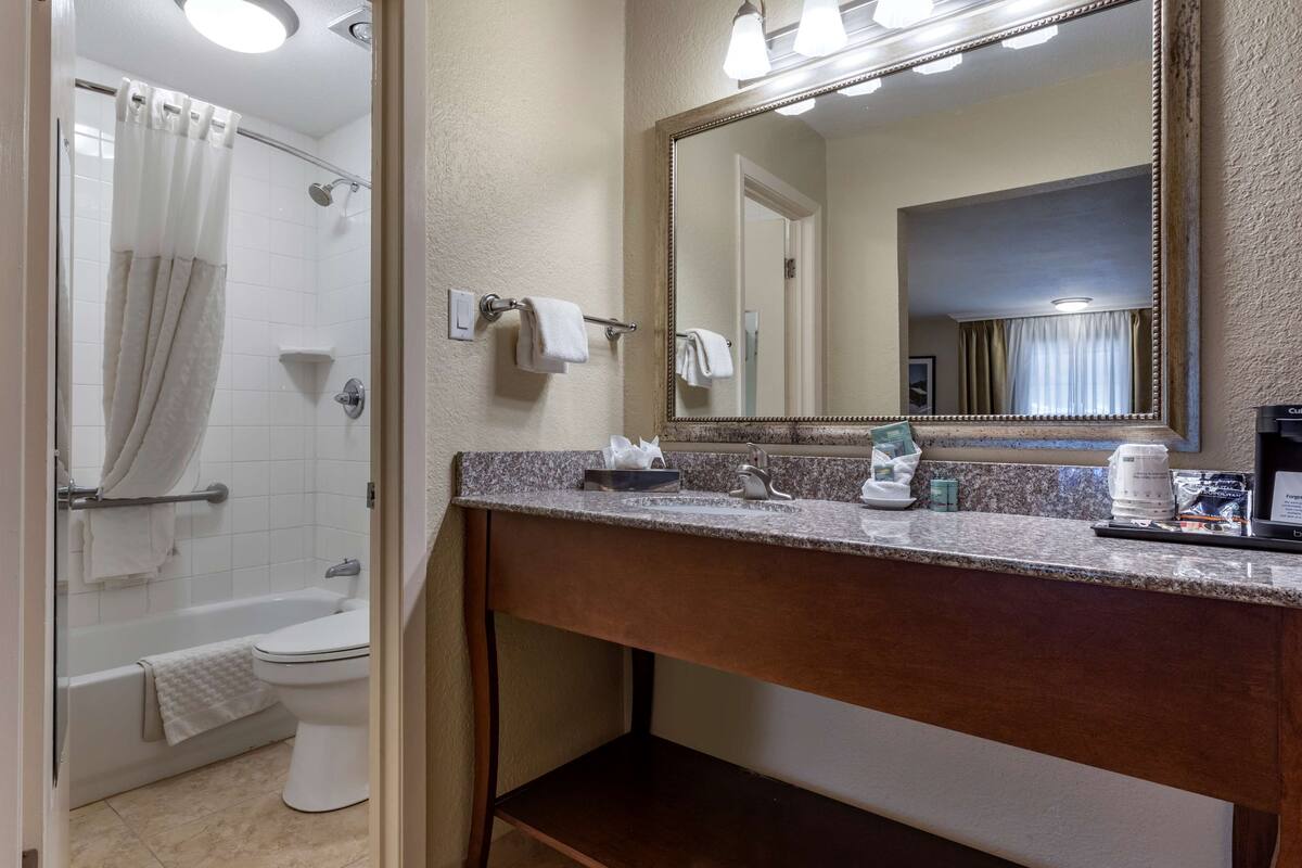 combined shower/bathtub, free toiletries, hair dryer, towels