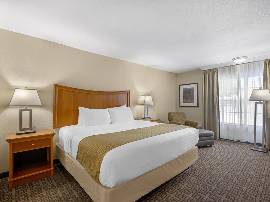 Premium bedding, pillowtop beds, laptop workspace, iron/ironing board