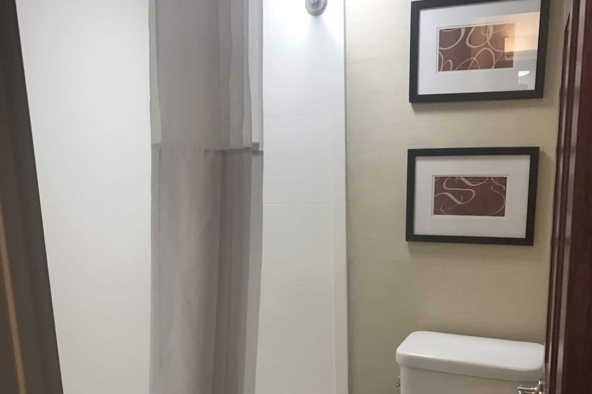 Bathroom | Combined shower/tub, free toiletries, hair dryer, towels