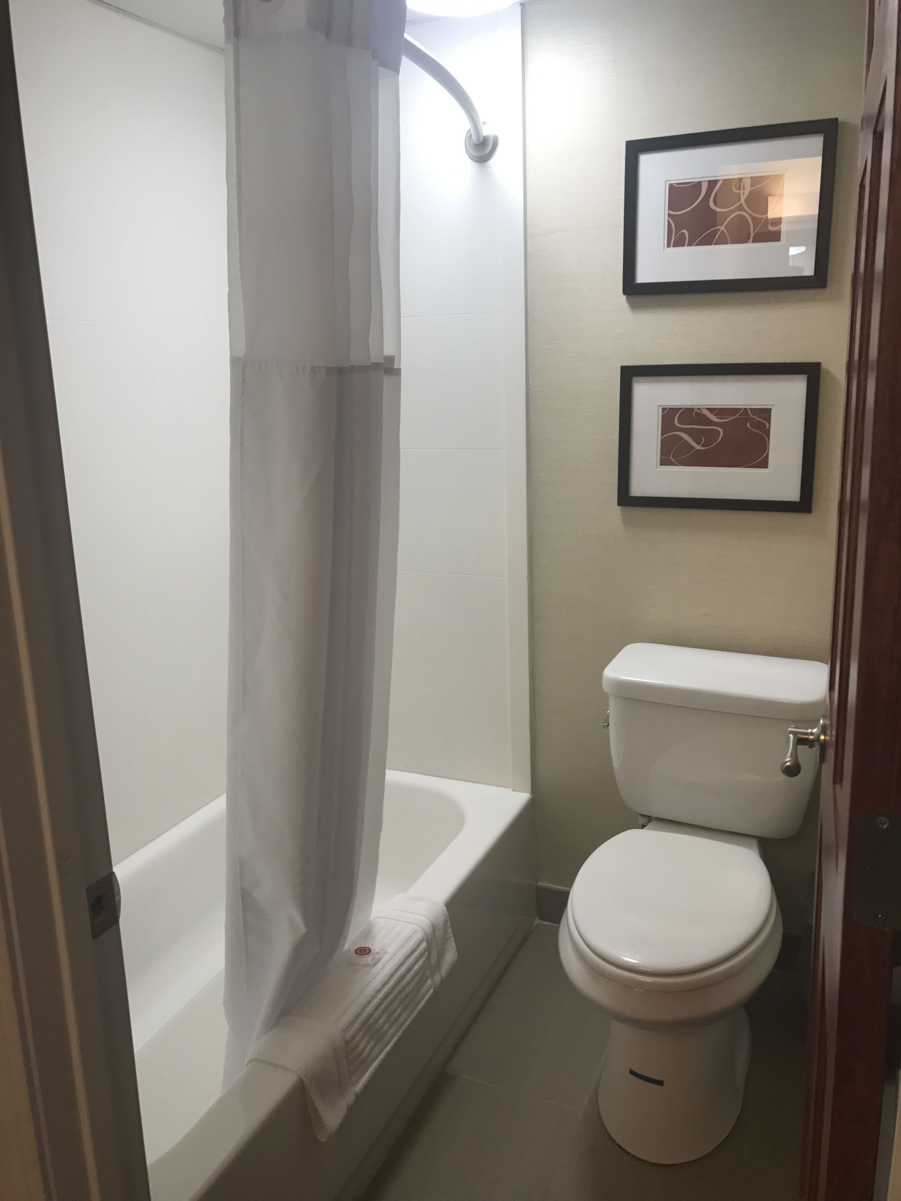 combined shower/bathtub, free toiletries, hair dryer, towels