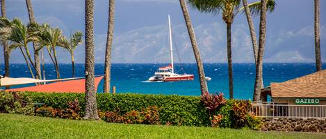 A coastal view with a boat, palm trees, and a building labeled "GAZEBO".