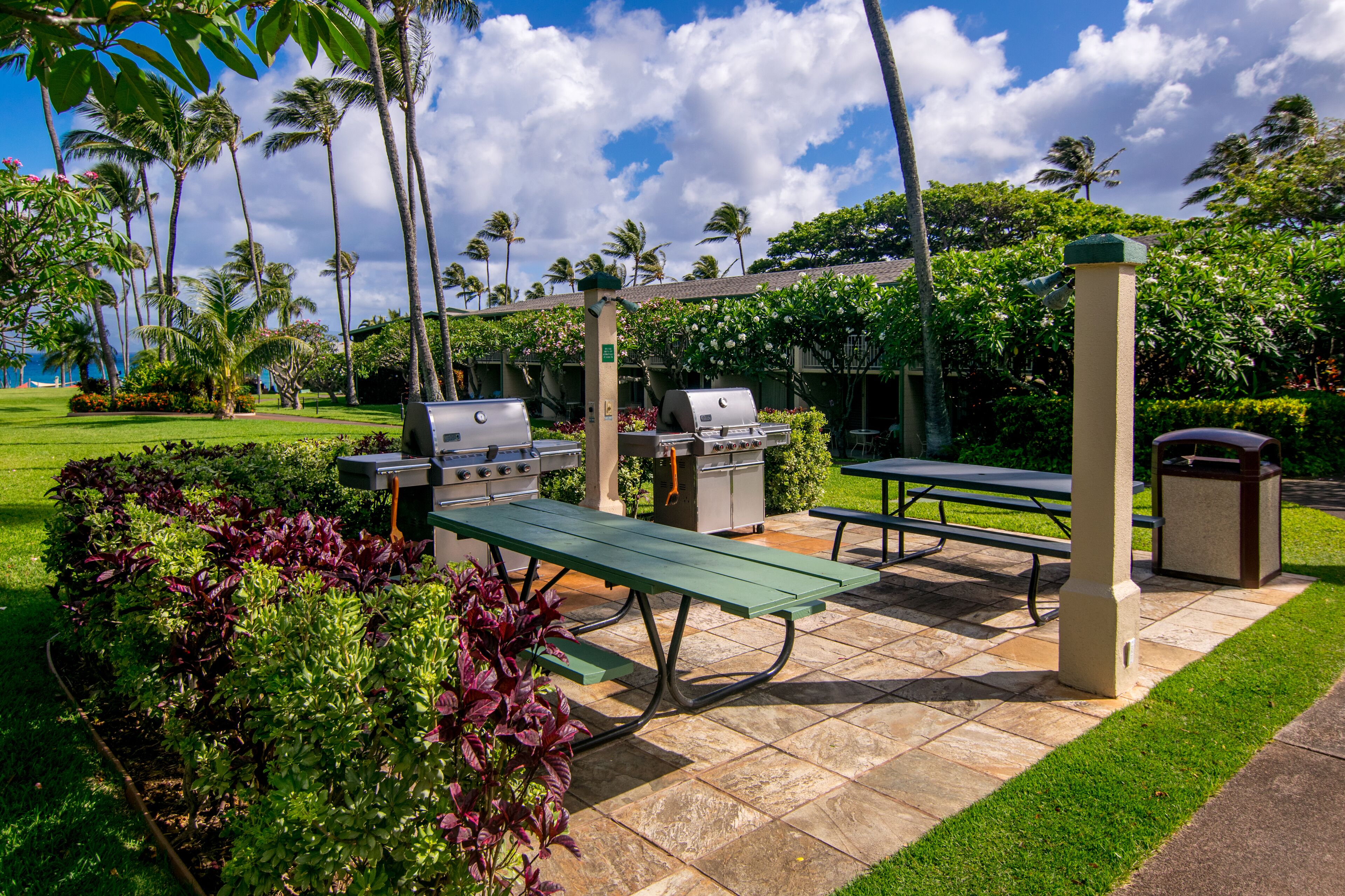 An outdoor patio with a grill, picnic table, and benches, surrounded by lush greenery and palm trees.