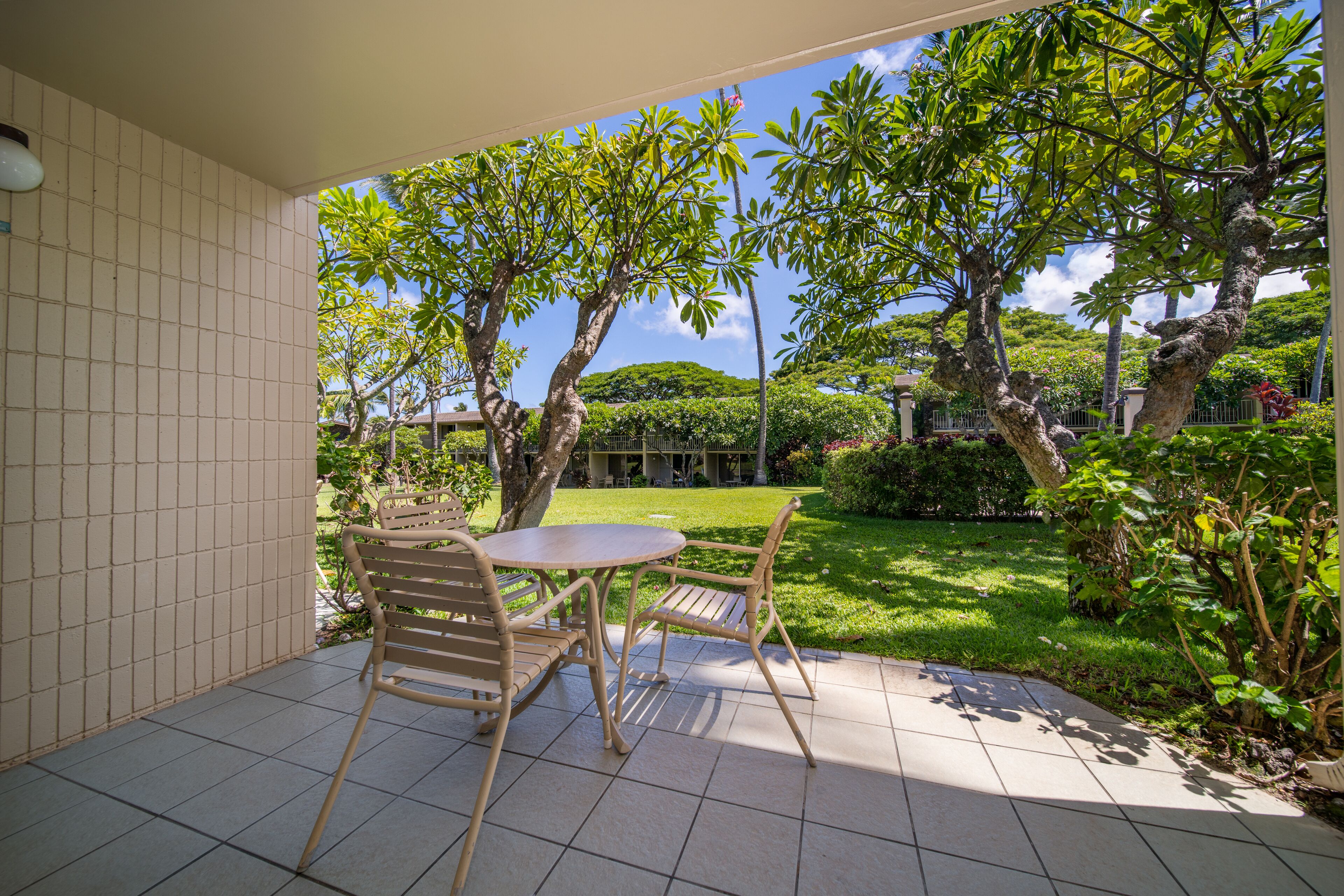 A patio with a table and chairs, surrounded by a garden with trees and a lawn.