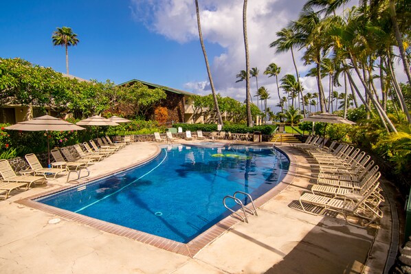 2 outdoor pools