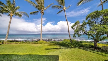 A grassy area with palm trees and a view of the ocean.