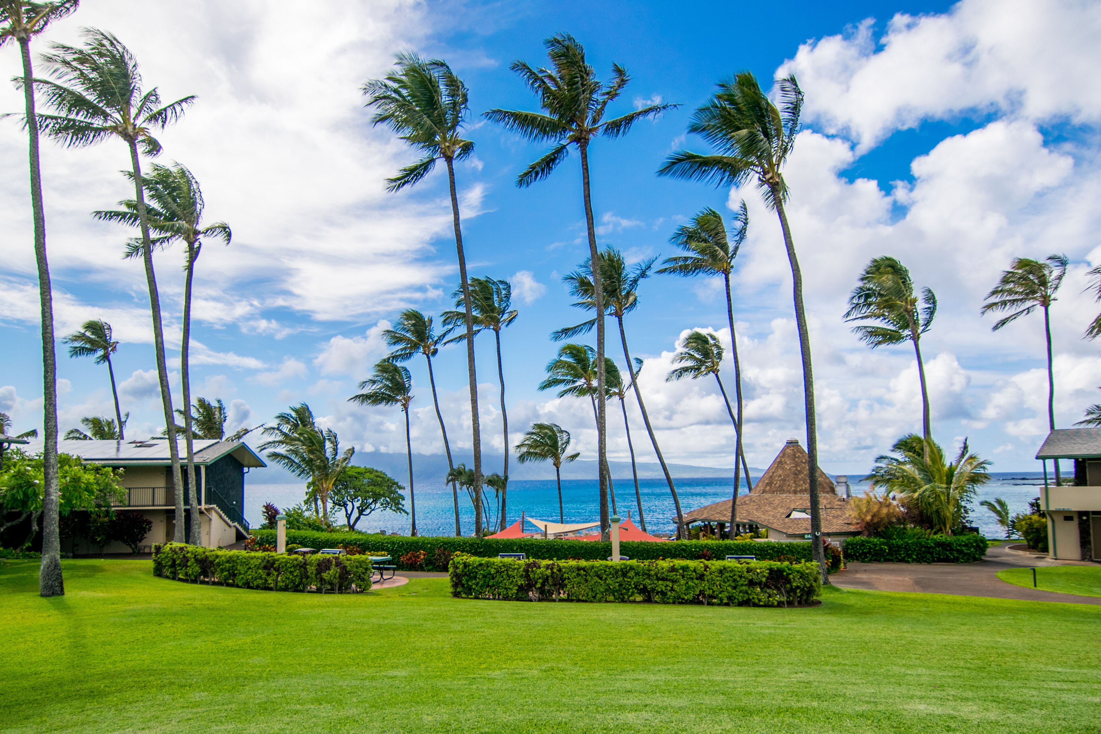 Un complexe hôtelier tropical avec des palmiers, un bâtiment à toit de chaume et une vue sur l’océan.