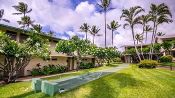A courtyard with a shuffleboard court, palm trees, and a building with a flat roof and beige walls.