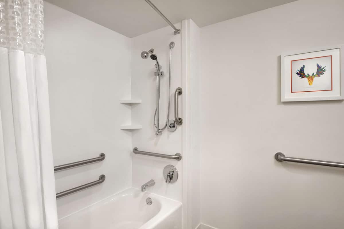 room, 1 queen bed, accessible, bathtub | bathroom | combined shower/bathtub, free toiletries, hair dryer, towels
