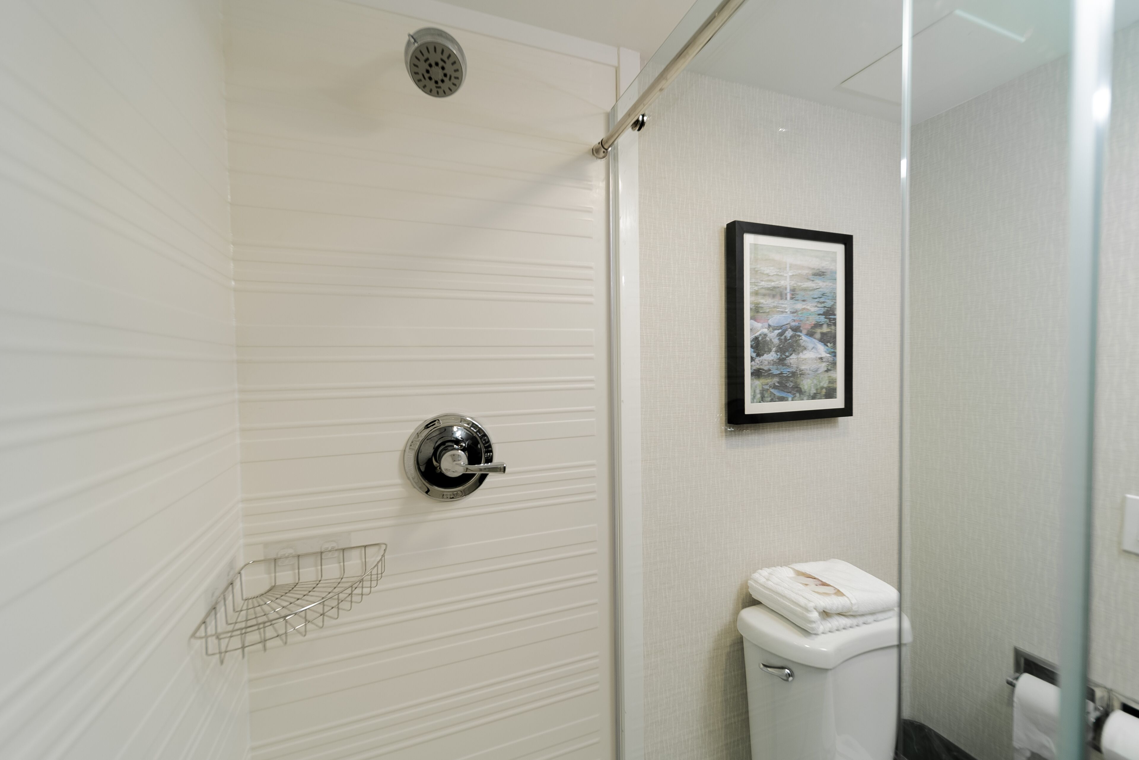 A modern bathroom with a shower, toilet, and a framed picture on the wall.