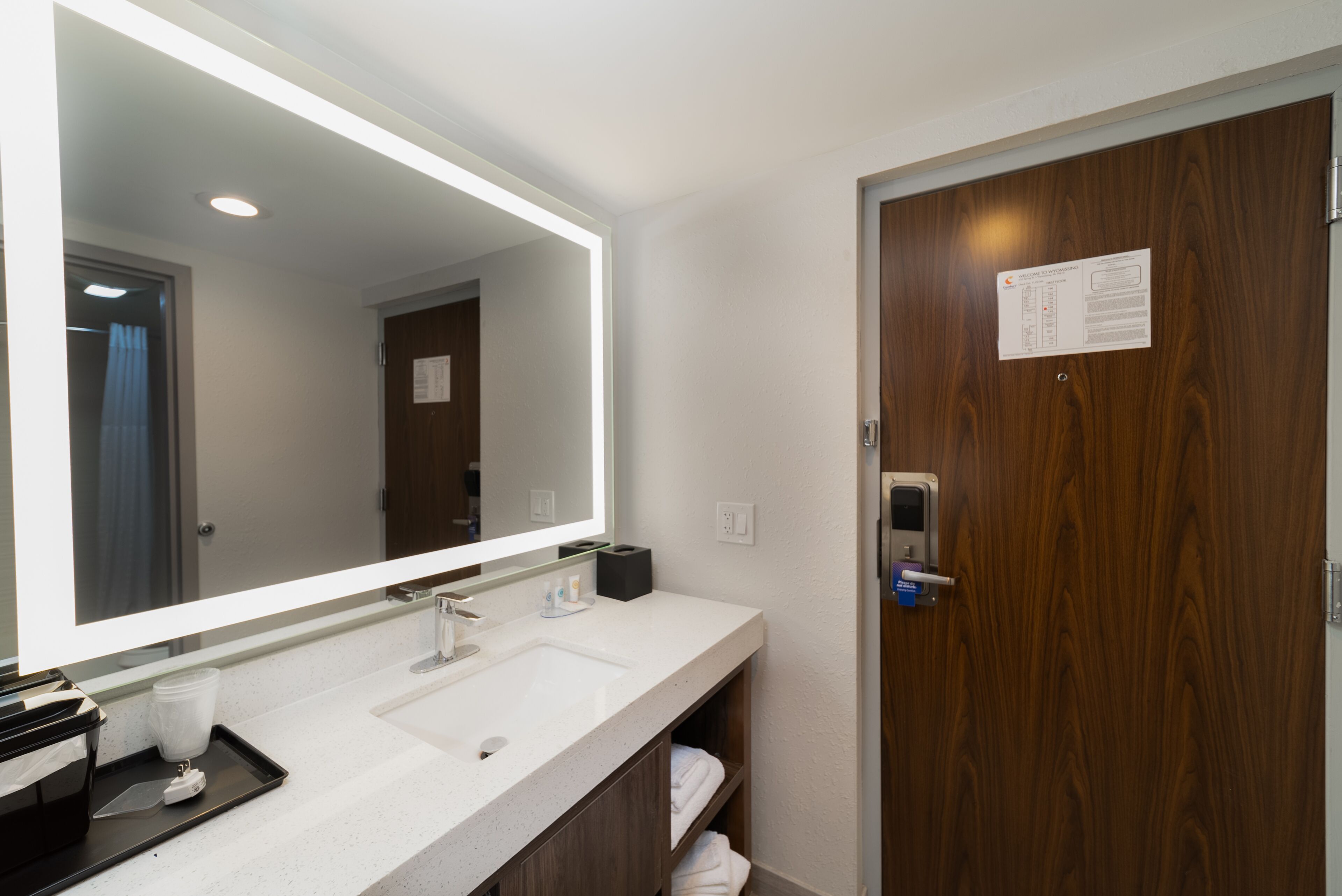 A modern bathroom with a large mirror, white sink, and wooden door.