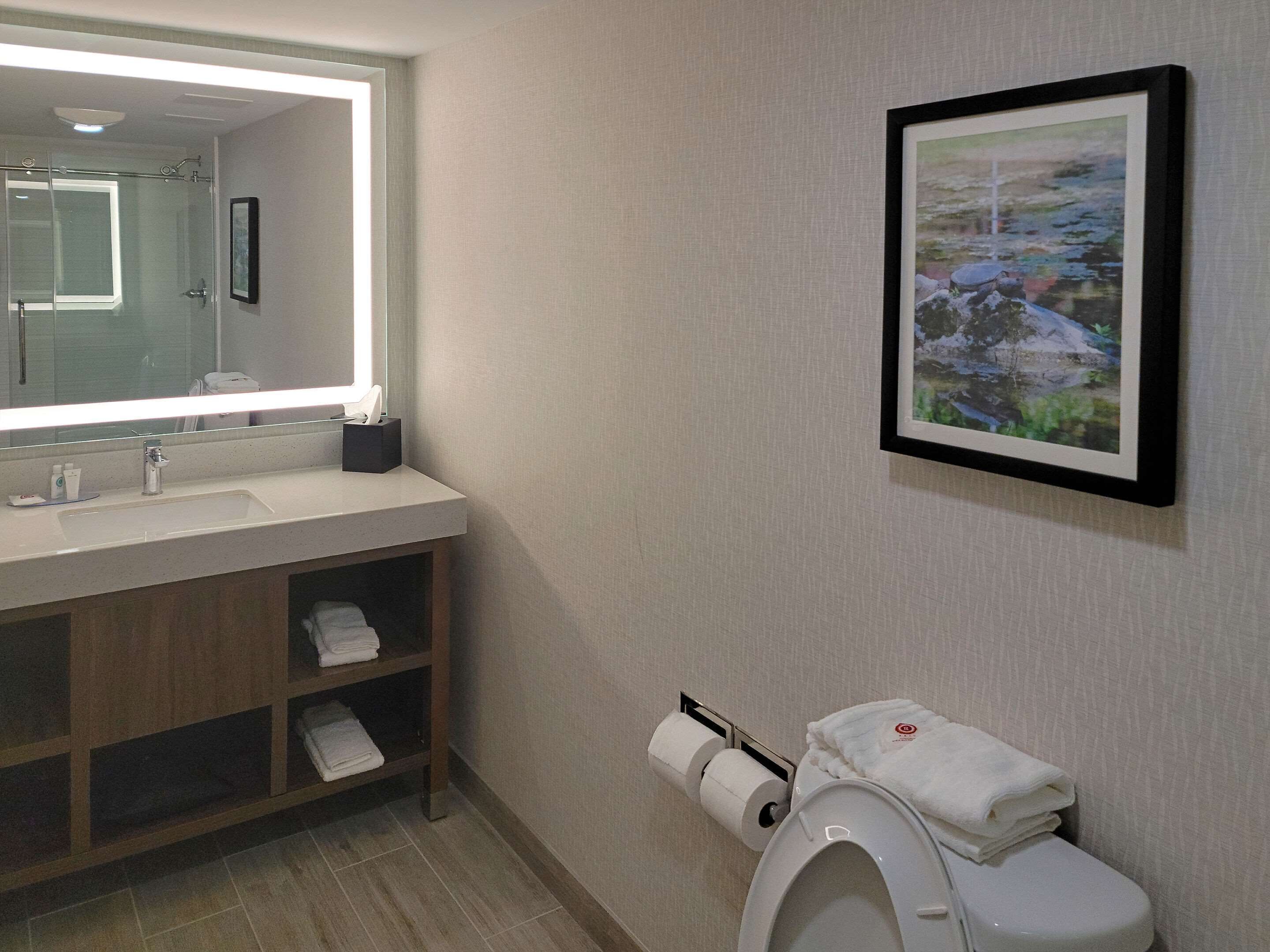 A bathroom with a large mirror, a sink, a toilet, and a framed picture on the wall.