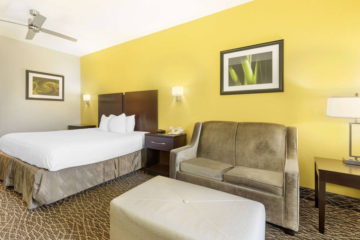 A hotel room with a bed, a chair, a desk, and a lamp.