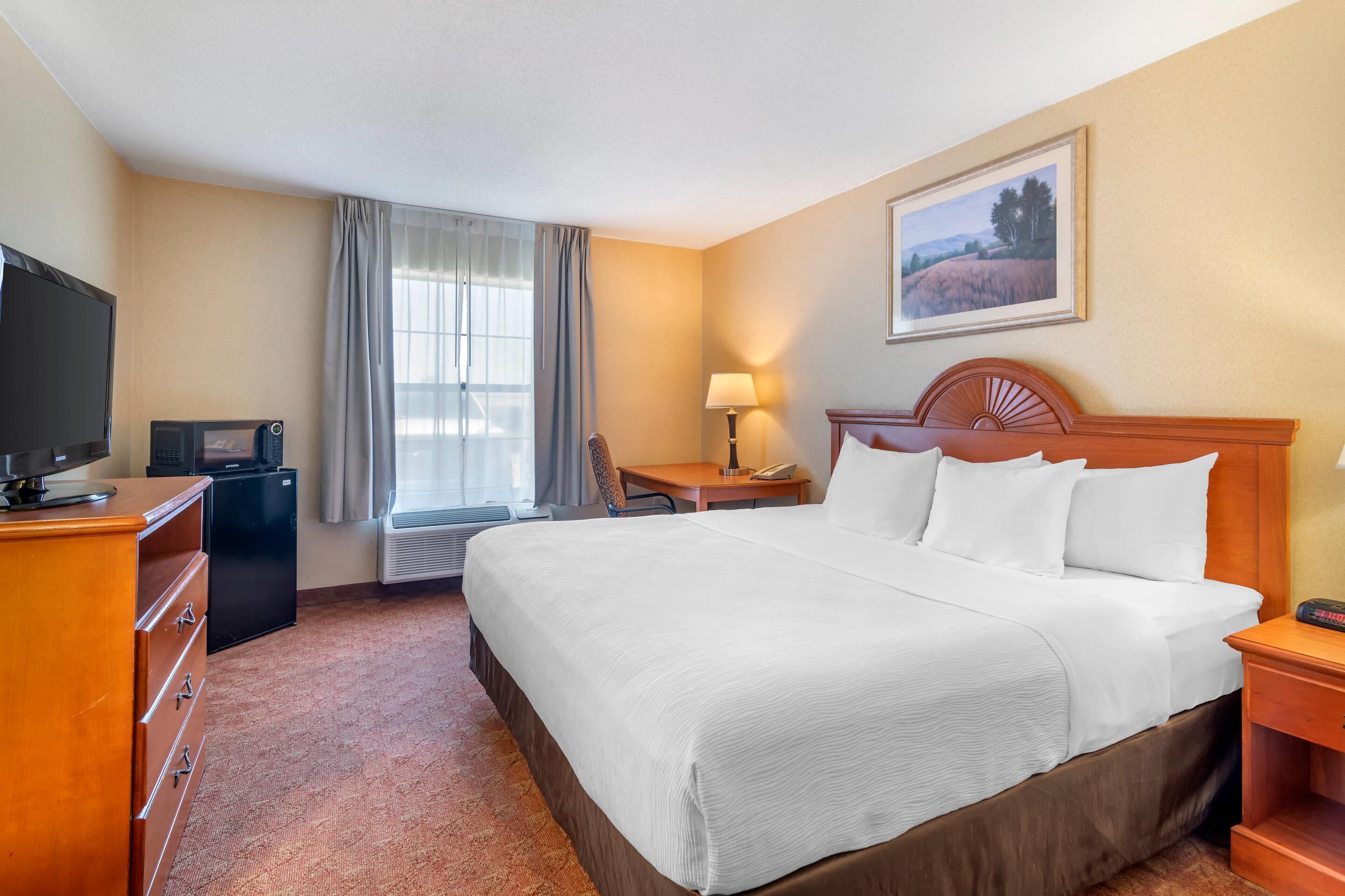 Standard Room, 1 King Bed, Non Smoking | Desk, iron/ironing board, free cribs/infant beds, free WiFi