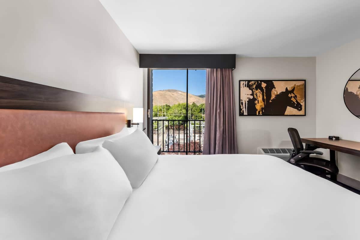 Hypo-allergenic bedding, desk, blackout curtains, iron/ironing board