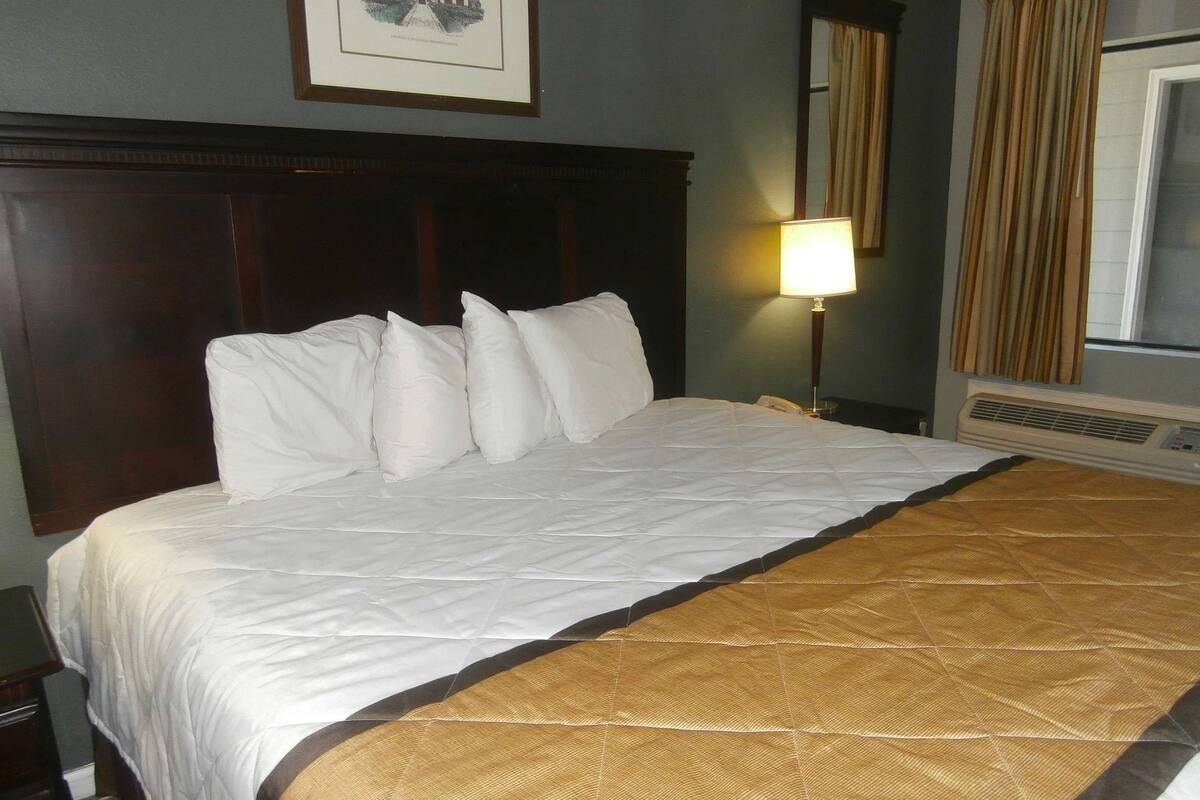 Een hotelkamer met een groot bed, een hoofdbord, een bedlampje en een ingelijste foto aan de muur.
