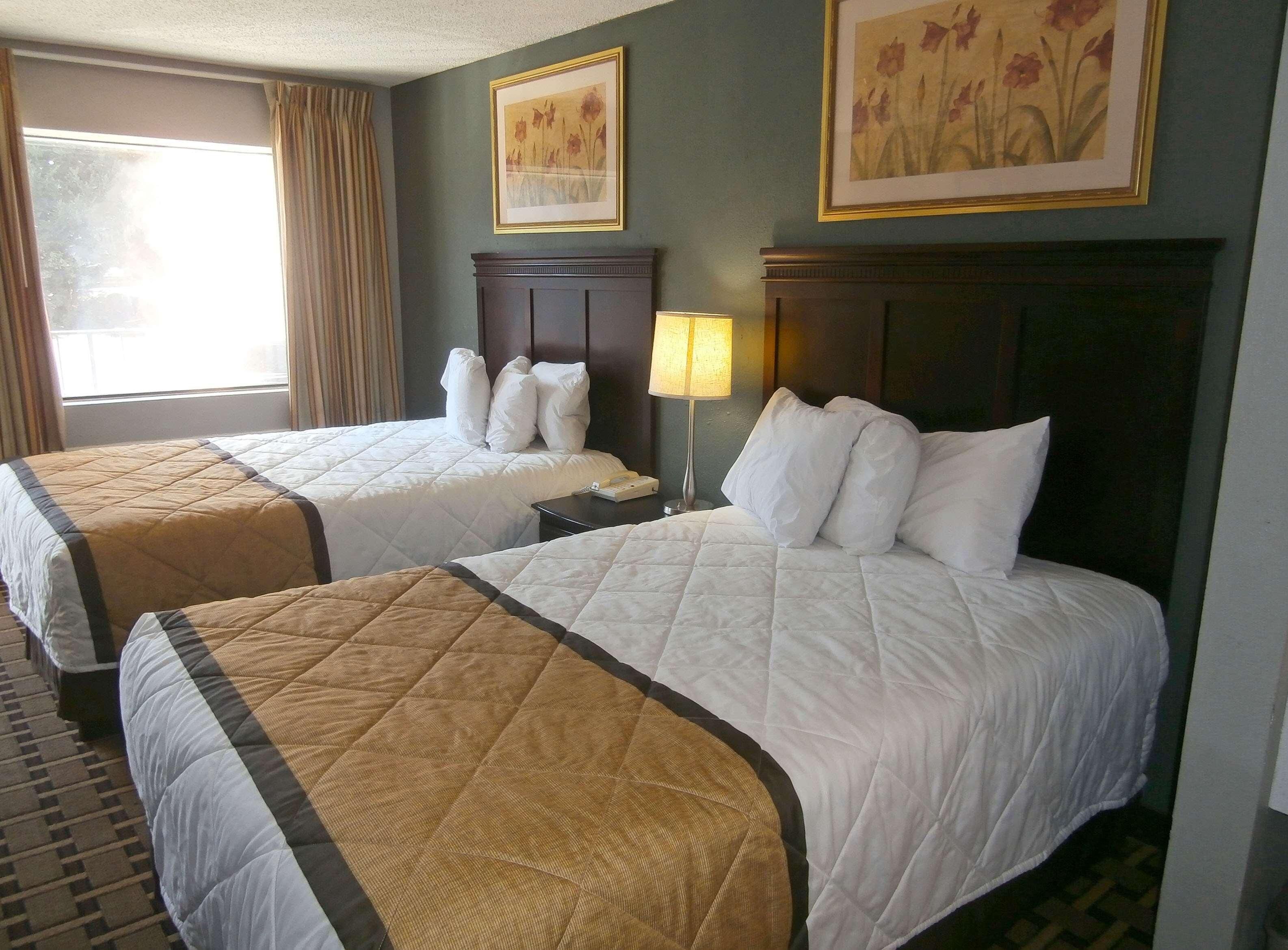 A hotel room with two beds, a nightstand, a lamp, and two framed floral paintings on the wall.