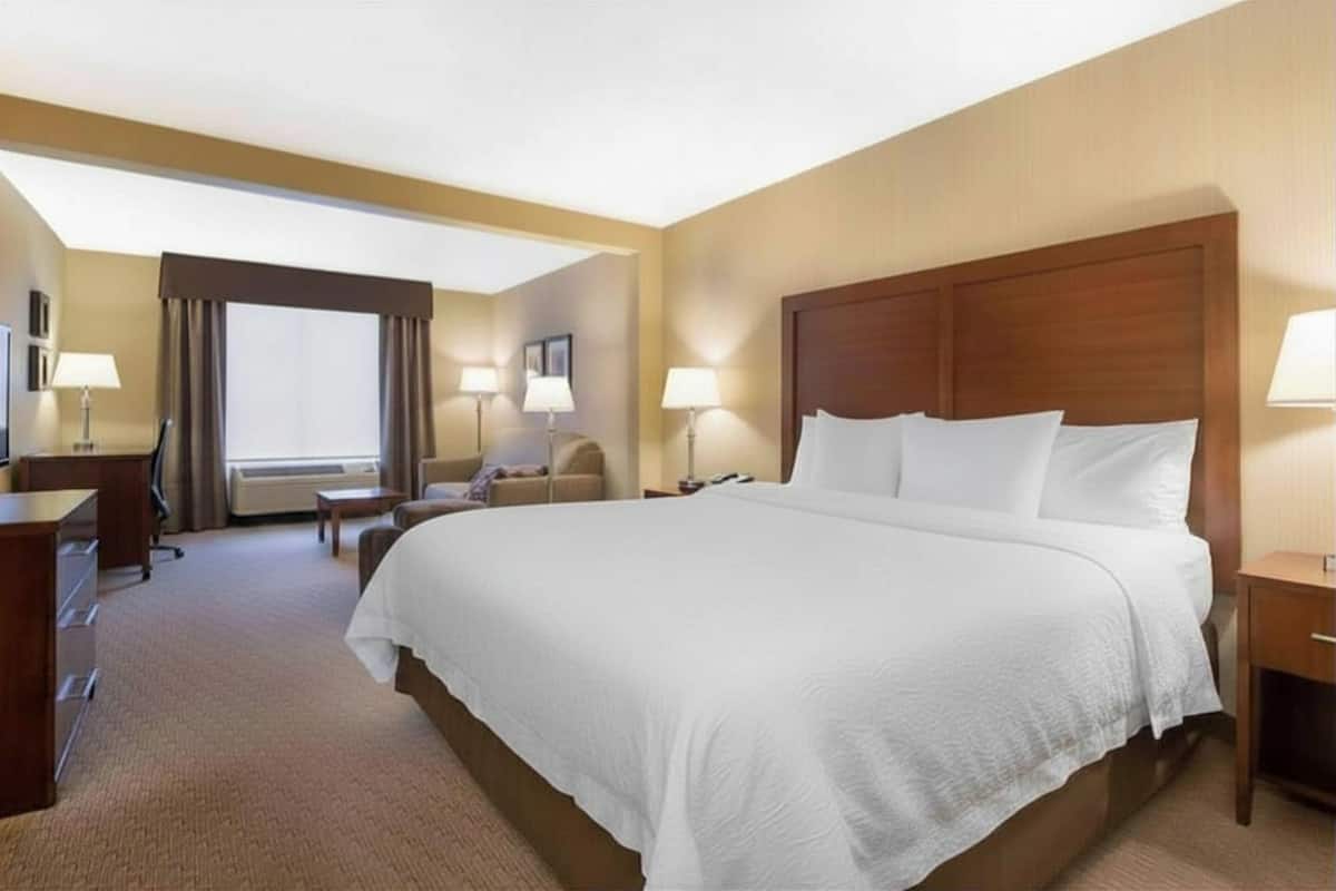 Standard Room, 1 King Bed with Sofa bed, Non Smoking | In-room safe, desk, laptop workspace, iron/ironing board