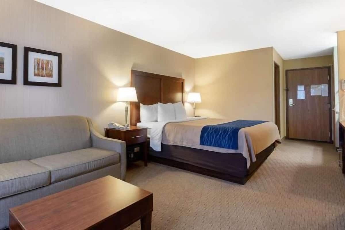 A hotel room with a bed, a sofa, a bedside table, and two framed pictures on the wall.