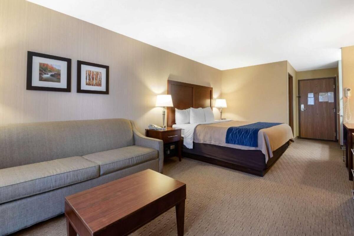 A hotel room with a bed, a sofa, a nightstand, two lamps, and framed pictures on the wall.