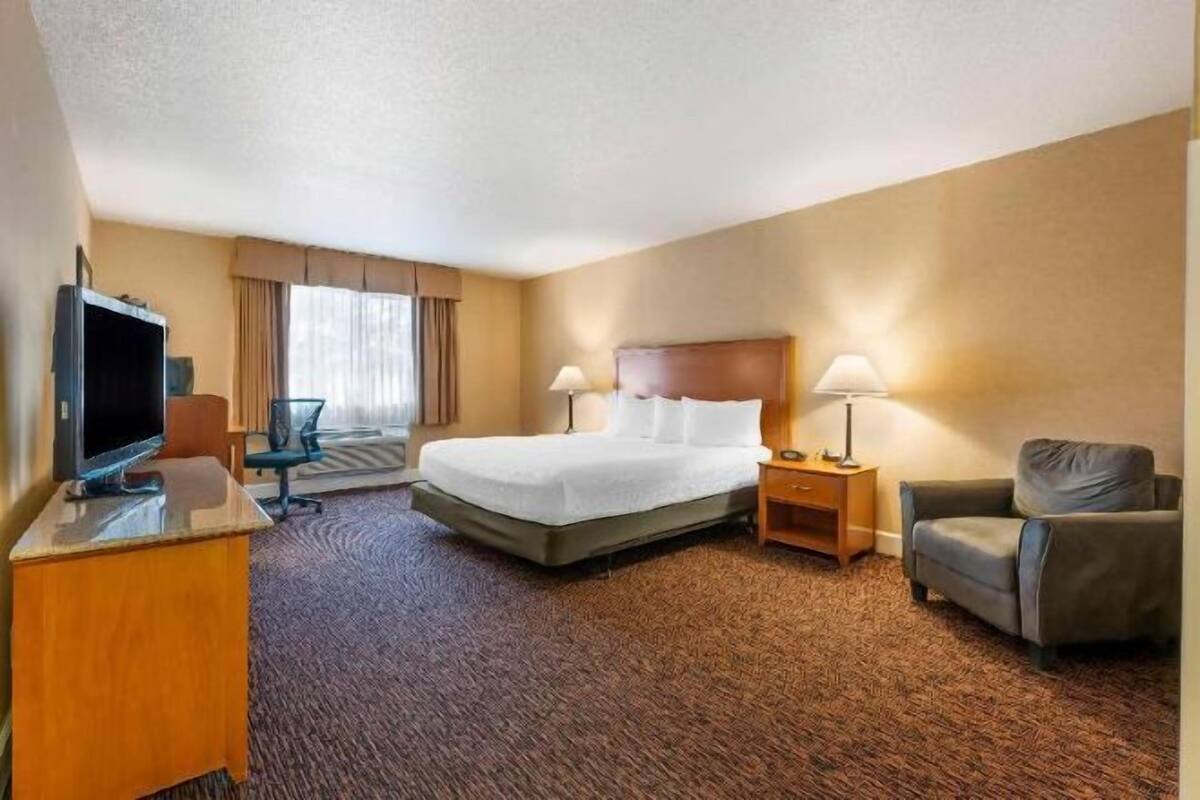 Premium bedding, in-room safe, blackout drapes, iron/ironing board