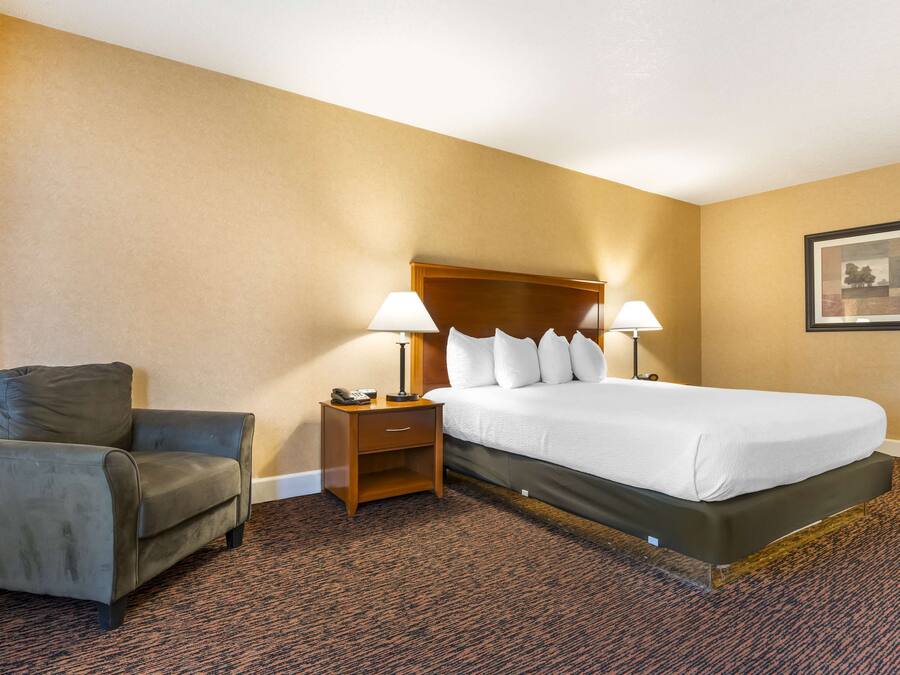 A hotel room with a bed, a nightstand, a lamp, a chair, and a carpeted floor.