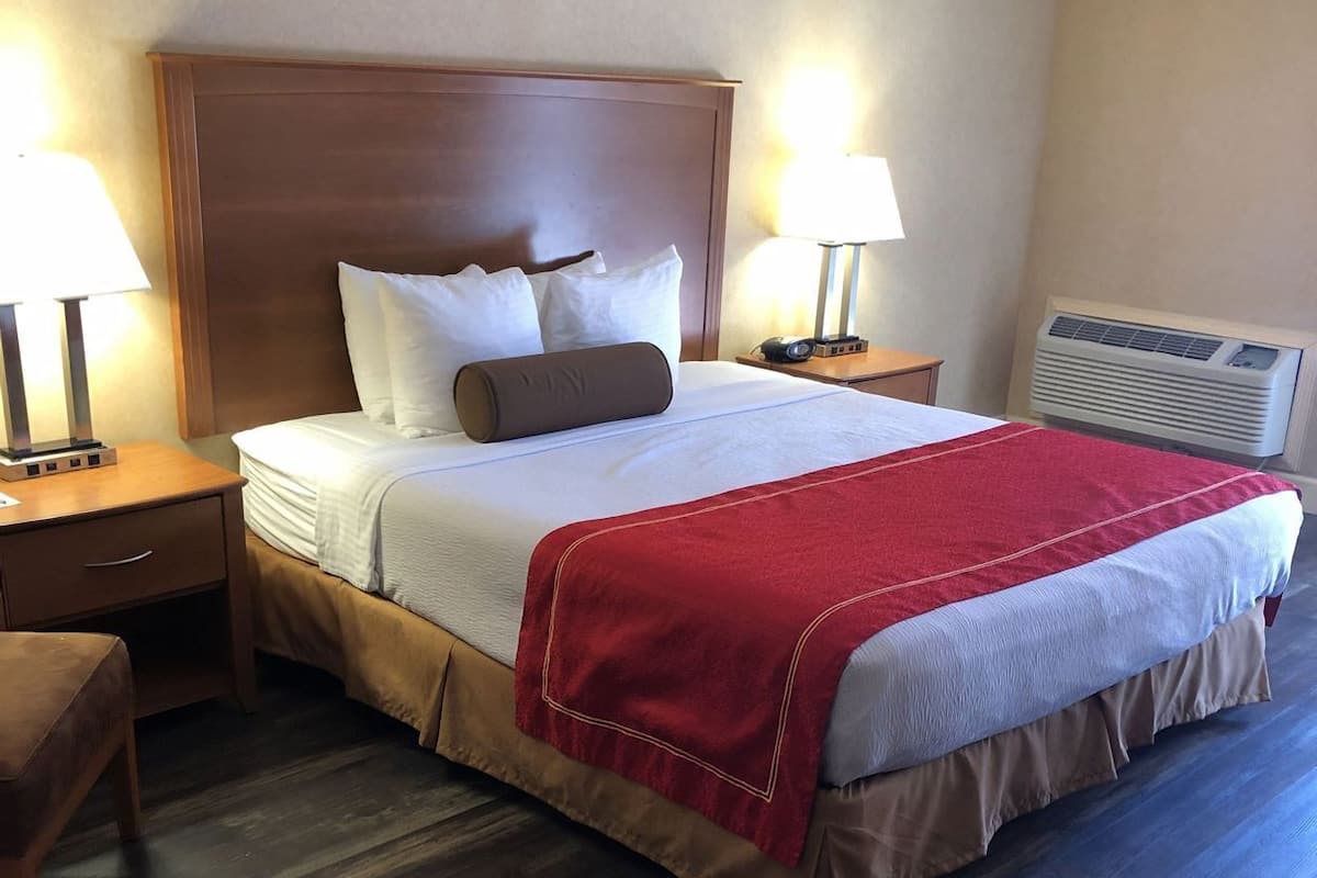 Premium bedding, in-room safe, blackout curtains, iron/ironing board