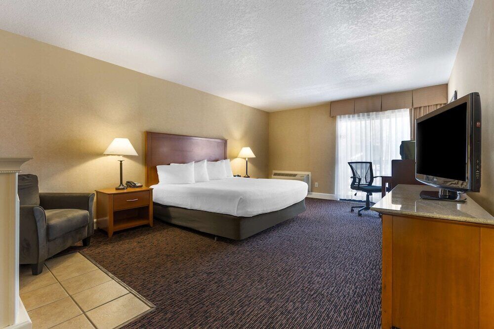 Premium bedding, in-room safe, blackout drapes, iron/ironing board