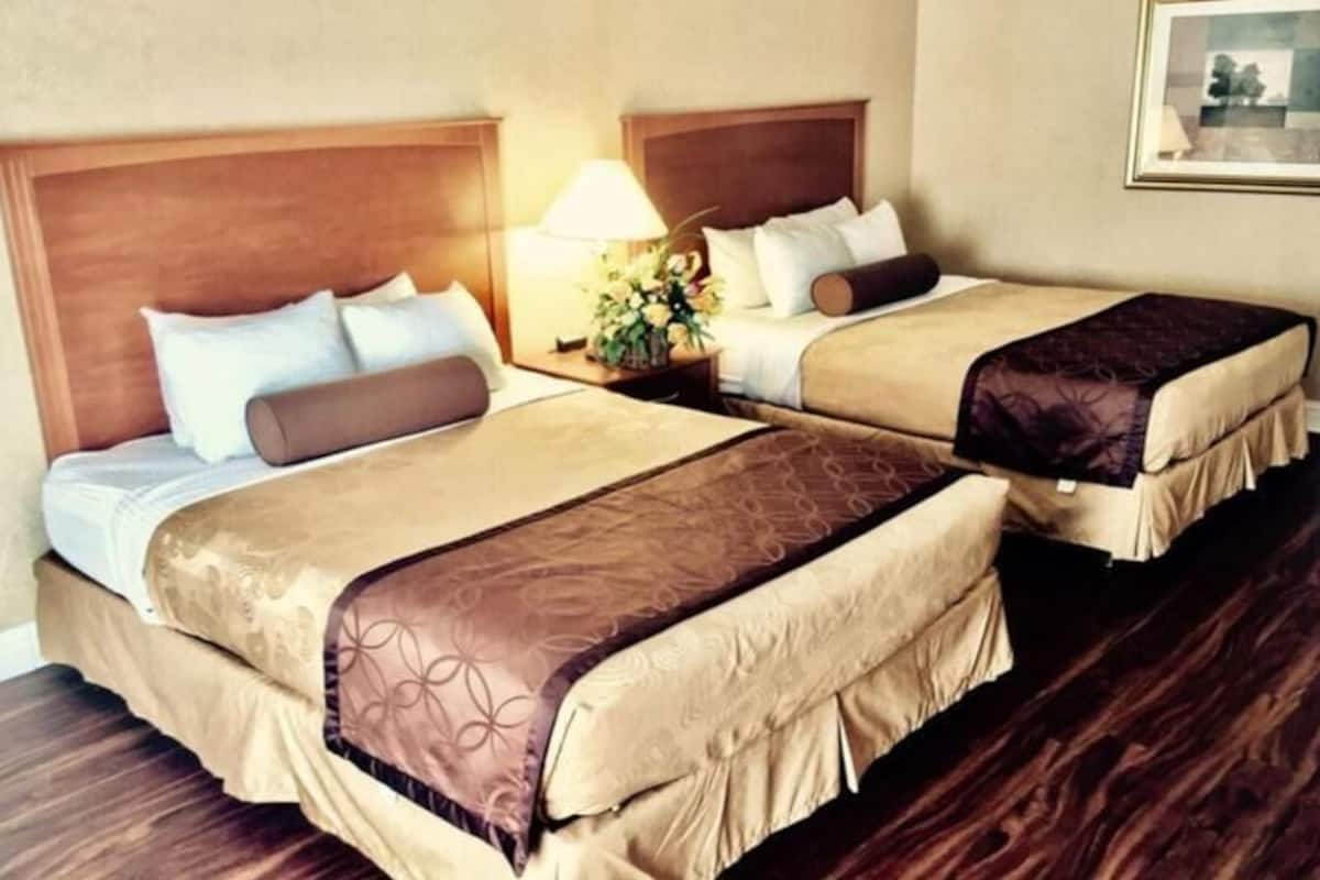Premium bedding, in-room safe, blackout curtains, iron/ironing board