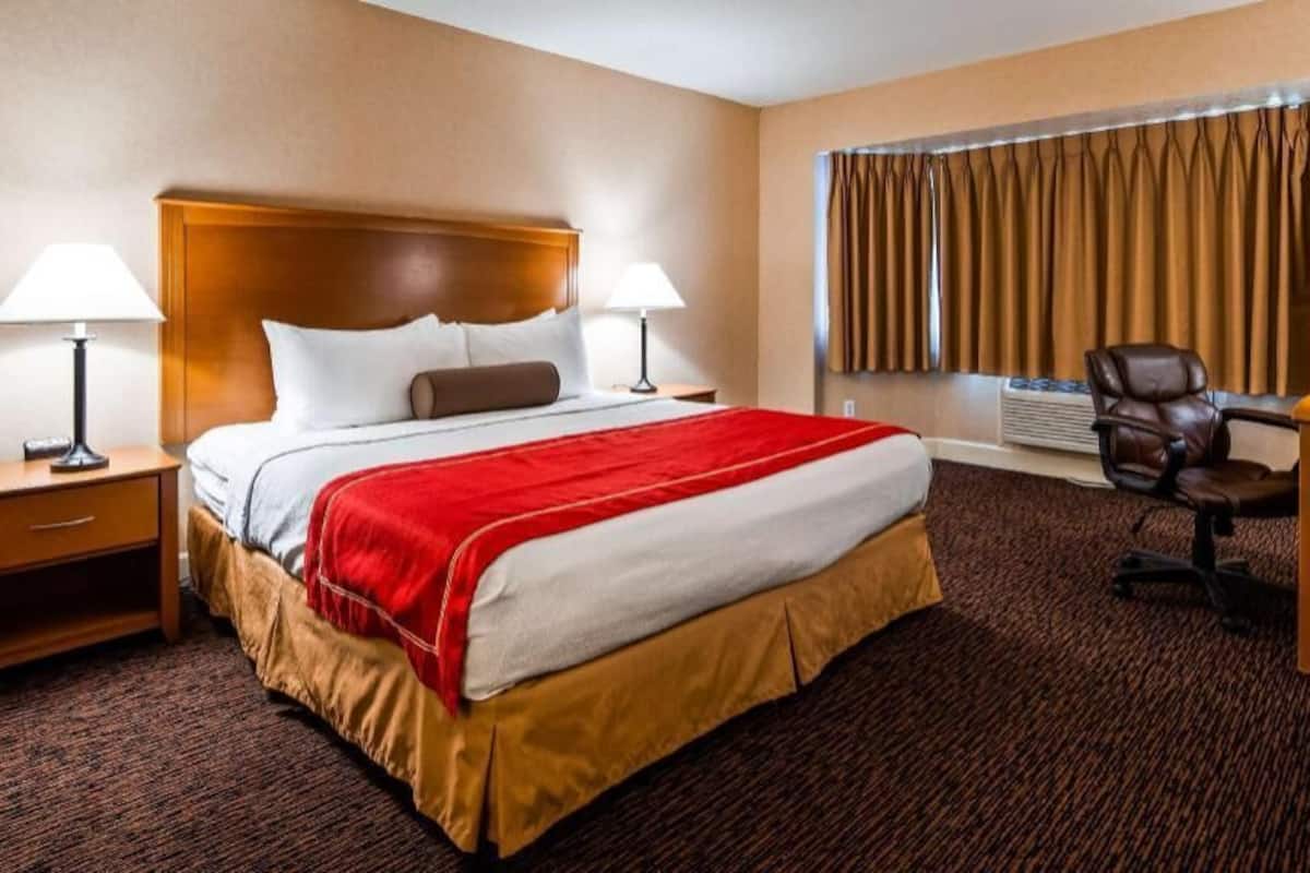 Premium bedding, in-room safe, blackout curtains, iron/ironing board