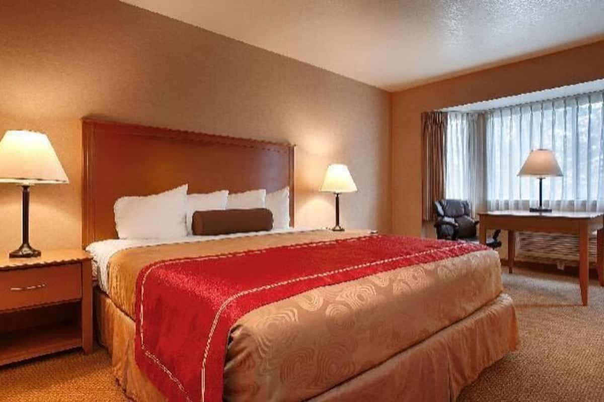 Premium bedding, in-room safe, blackout curtains, iron/ironing board