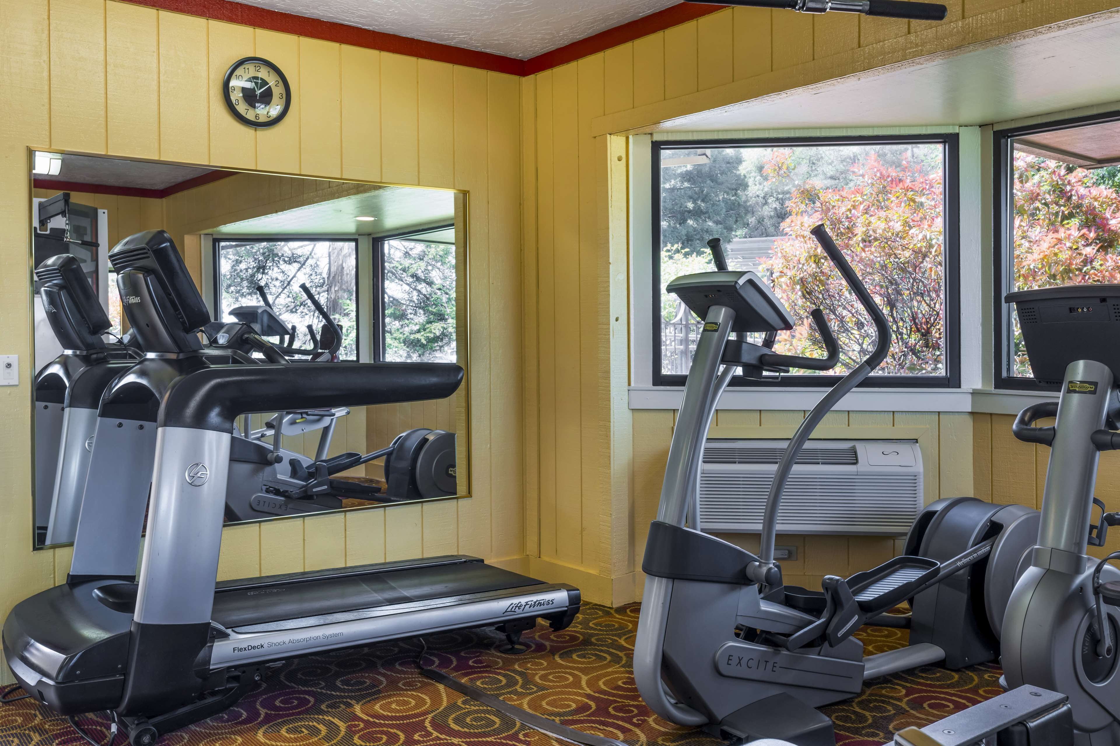 A gym with cardio equipment, a mirror, and windows with a view of trees.