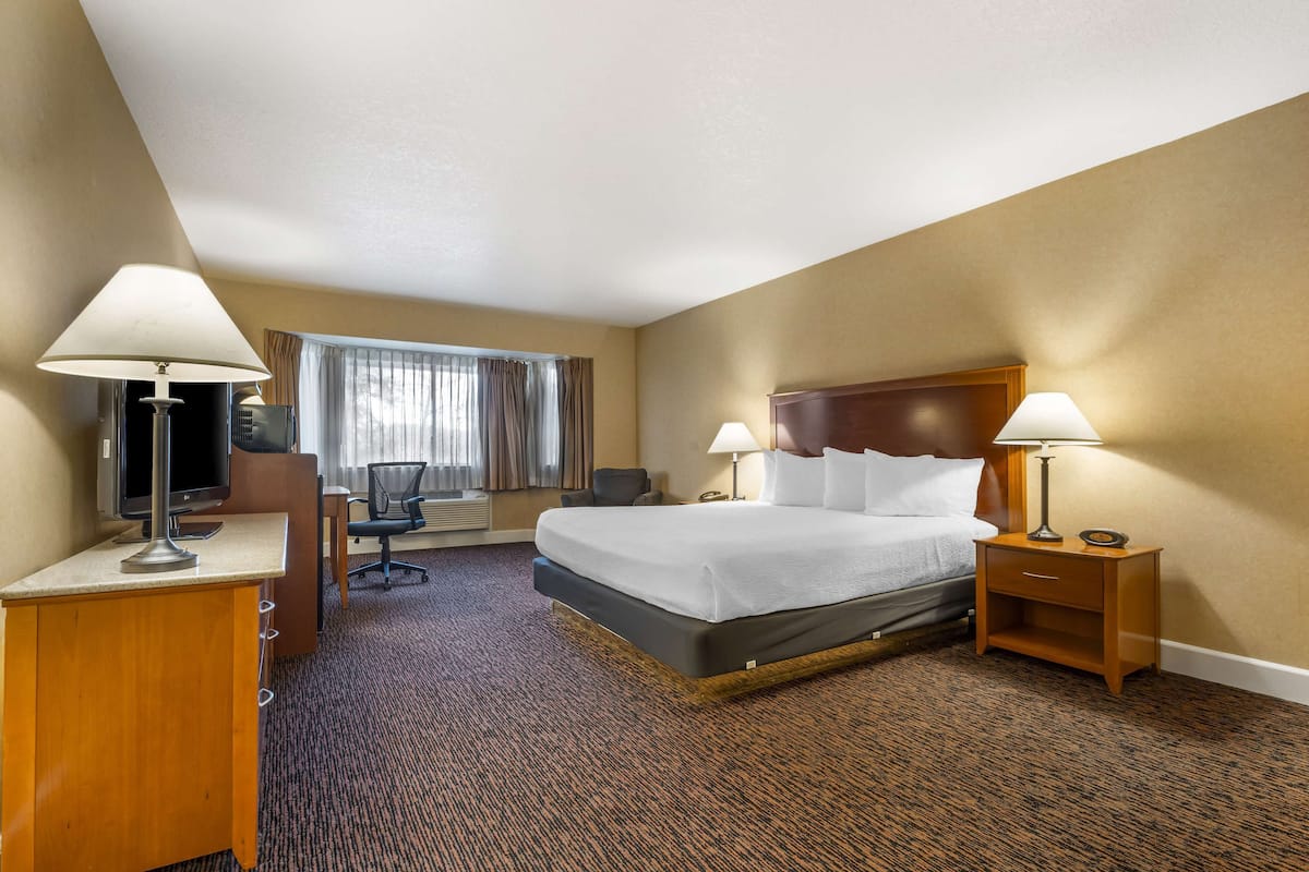 Business Room, 1 King Bed, Non Smoking, Refrigerator & Microwave