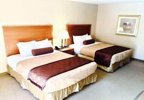 Premium bedding, in-room safe, blackout drapes, iron/ironing board