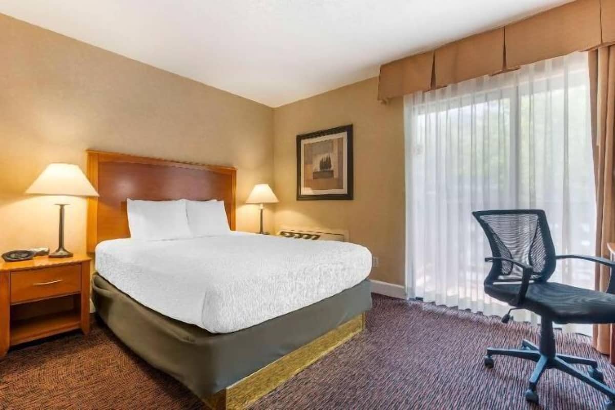 Premium bedding, in-room safe, blackout drapes, iron/ironing board