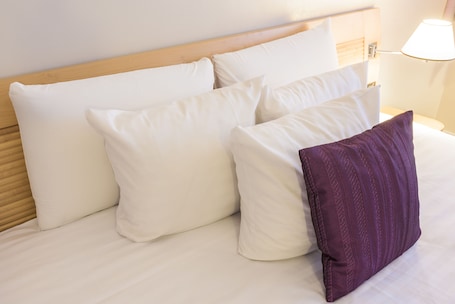 客房内保险箱、办公桌、隔音、熨斗/熨板