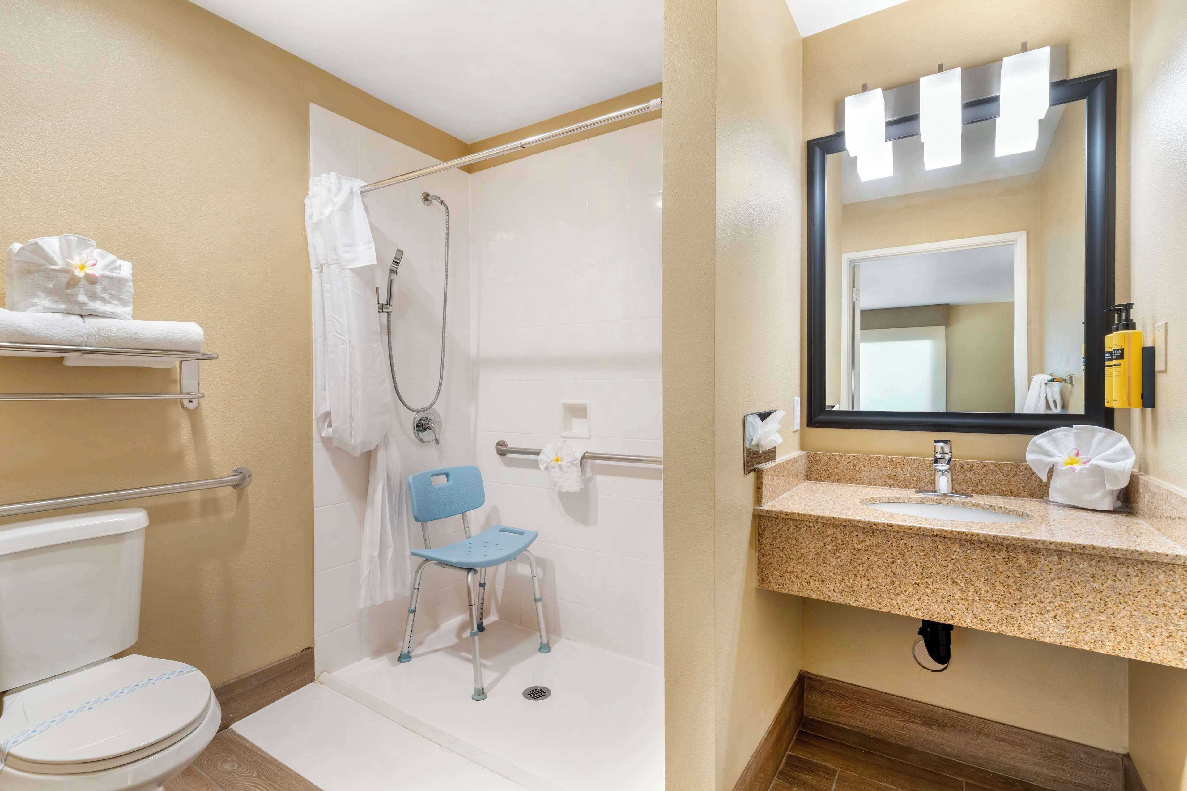 combined shower/bathtub, free toiletries, hair dryer, towels