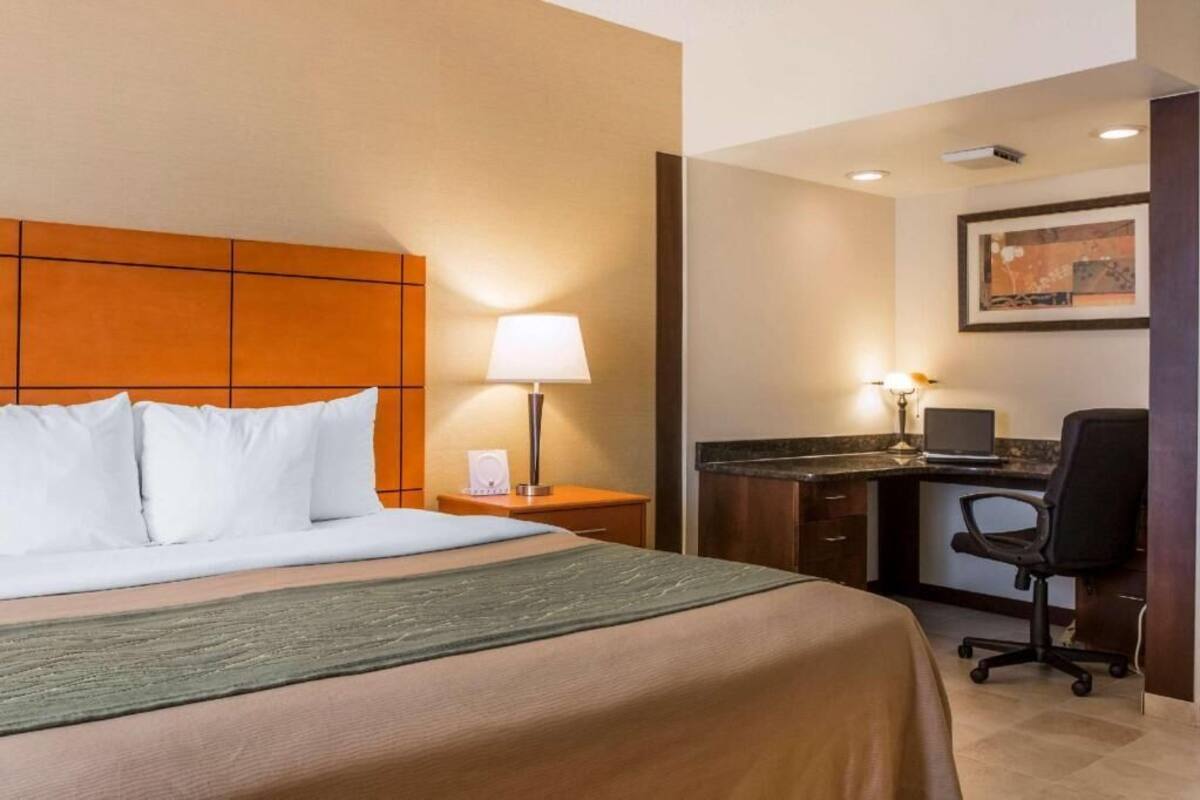 Roupas de cama premium, espaço de trabalho para notebook