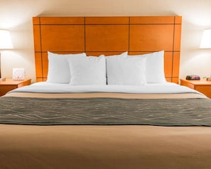Deluxe Room, 1 King Bed, Non Smoking