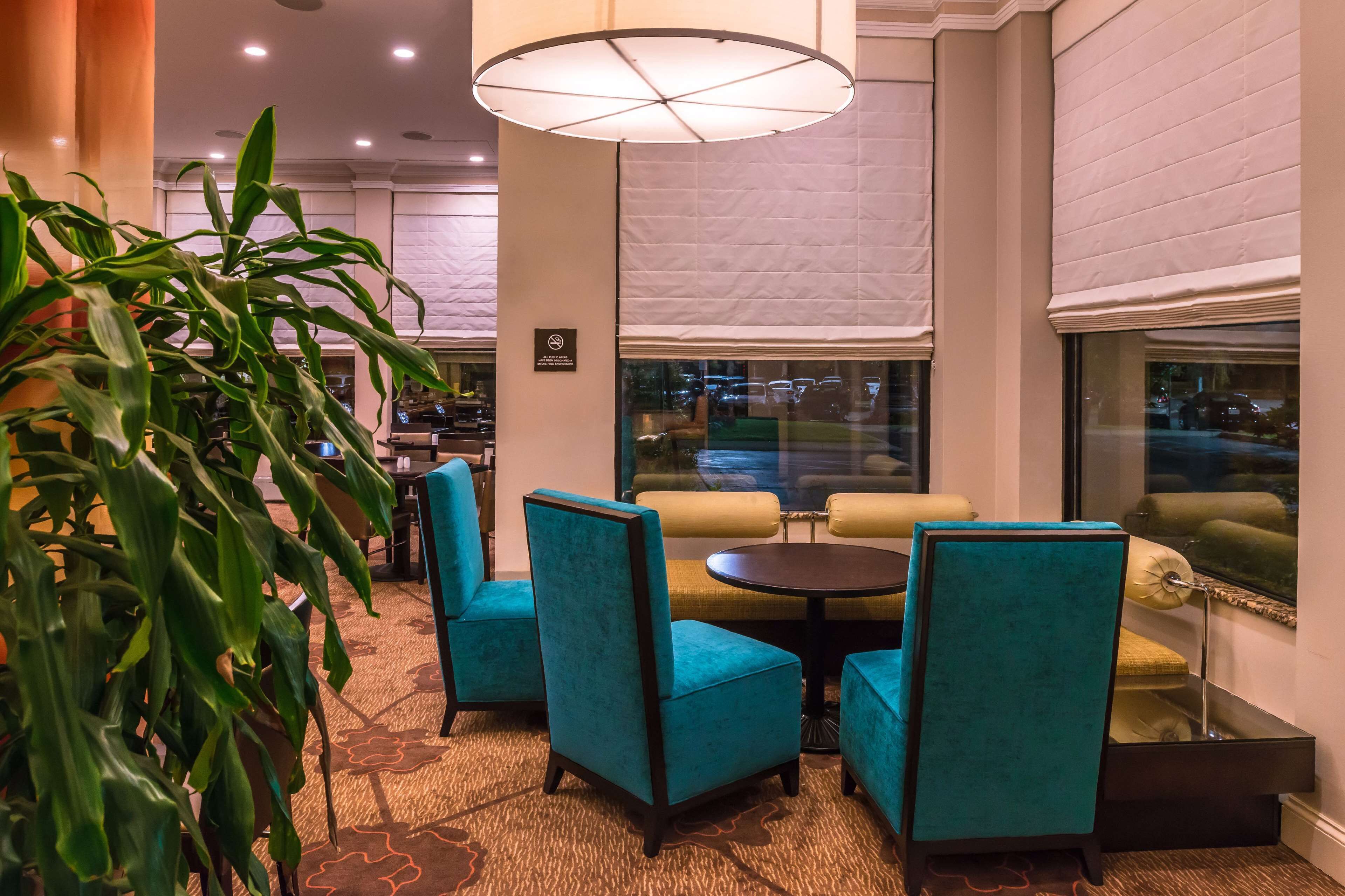 A lobby with teal chairs, a round table, and a large potted plant.