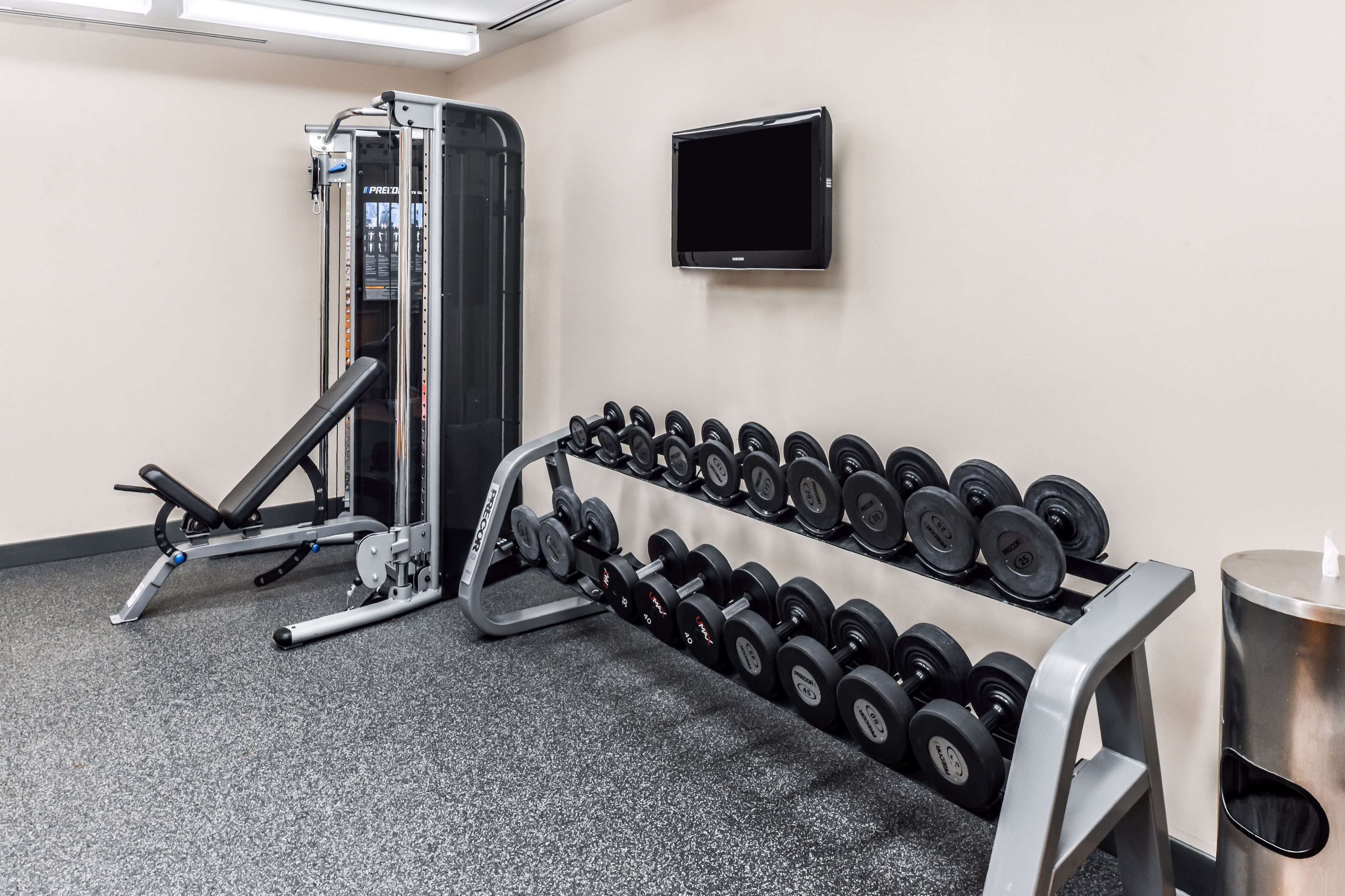 Un gimnasio con banco de pesas, una estructura para sentadillas y un estante con mancuernas.