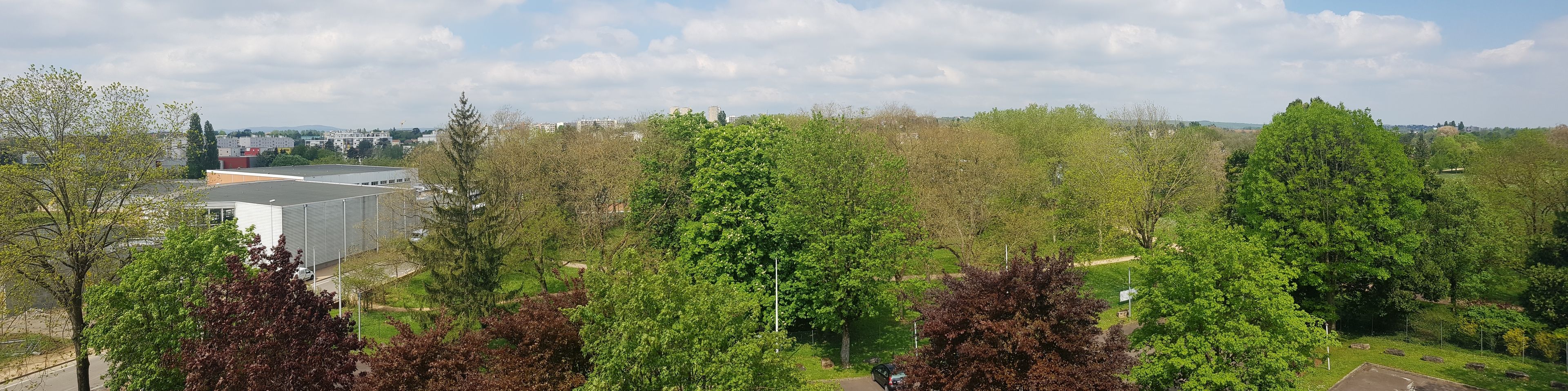 A view of a building surrounded by trees and a clear sky.