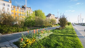 Une rue bordée de trottoirs, d’un côté par des fleurs et des arbres, de l’autre par des immeubles dotés de balcons, et surmontée d’un ciel bleu azur.
