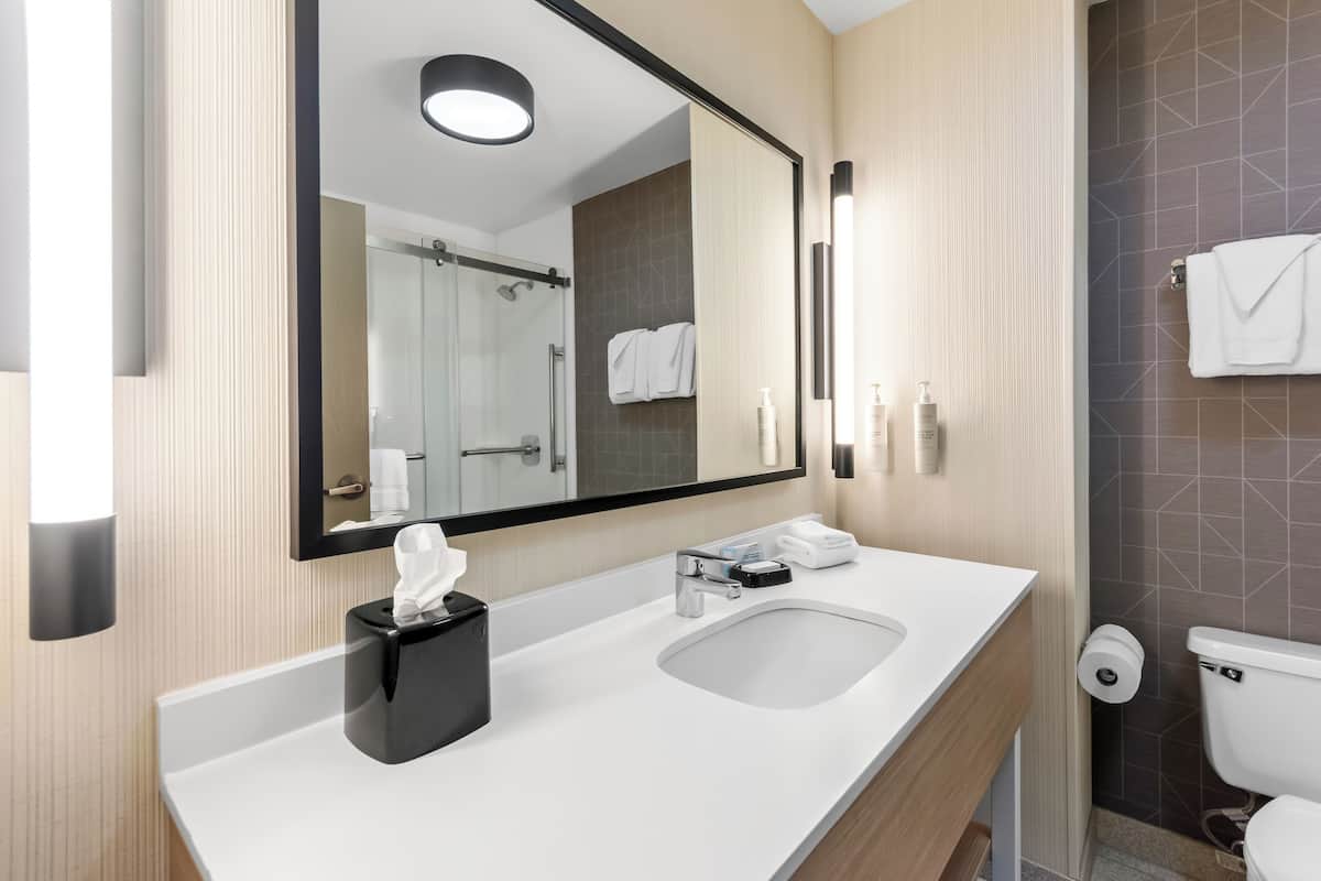 Secador de cabelo, toalhas de banho, sabonete, shampoo