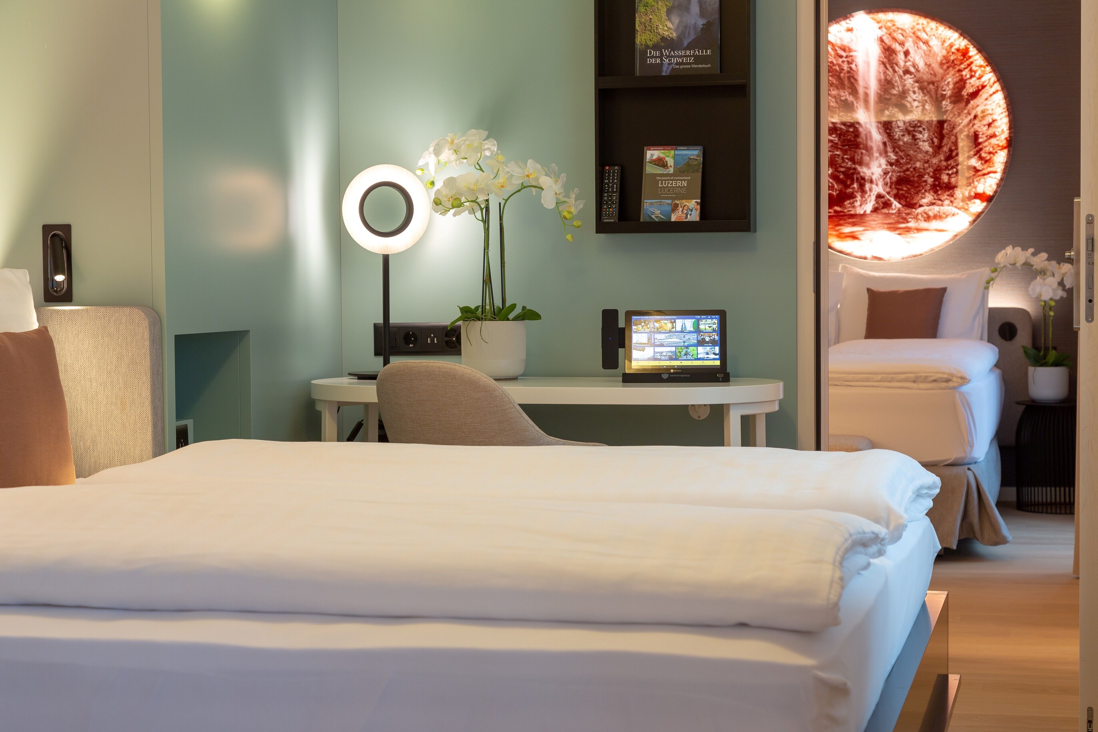 Habitación de hotel con cama, escritorio con laptop, silla, mesita con planta, televisor montado en la pared y baño con inodoro y lavamanos.