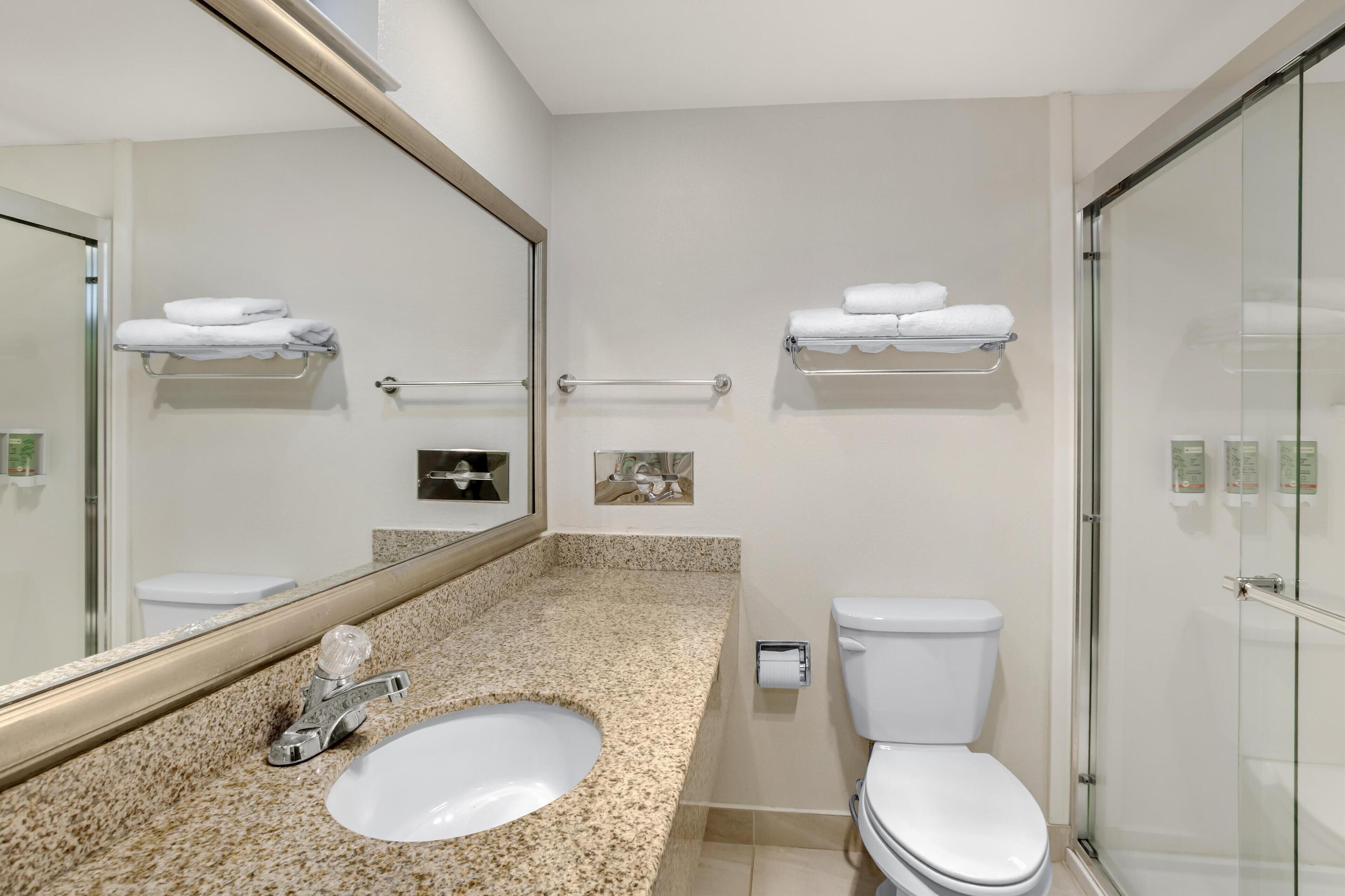 Uma casa de banho moderna com bancada de granito, uma sanita branca, um espelho grande, uma sanita e um cabine de duche em vidro.